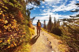 Offerte Hotel a Molveno Alpotel Dolomiten